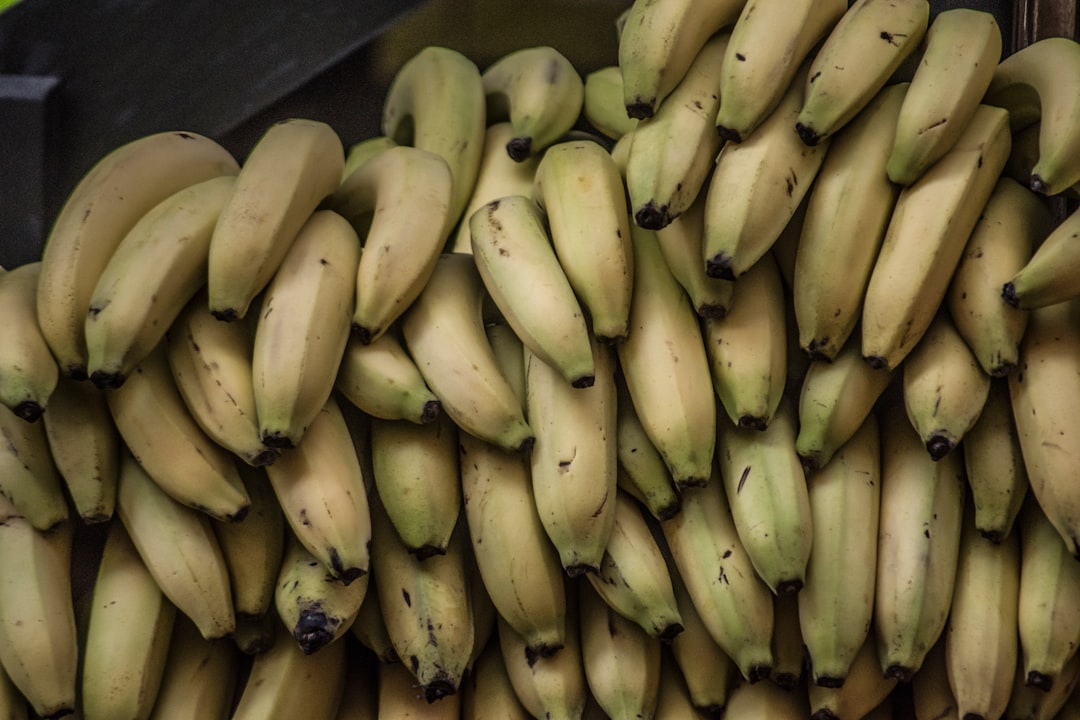 Delicious and Easy Banana Bread Recipe